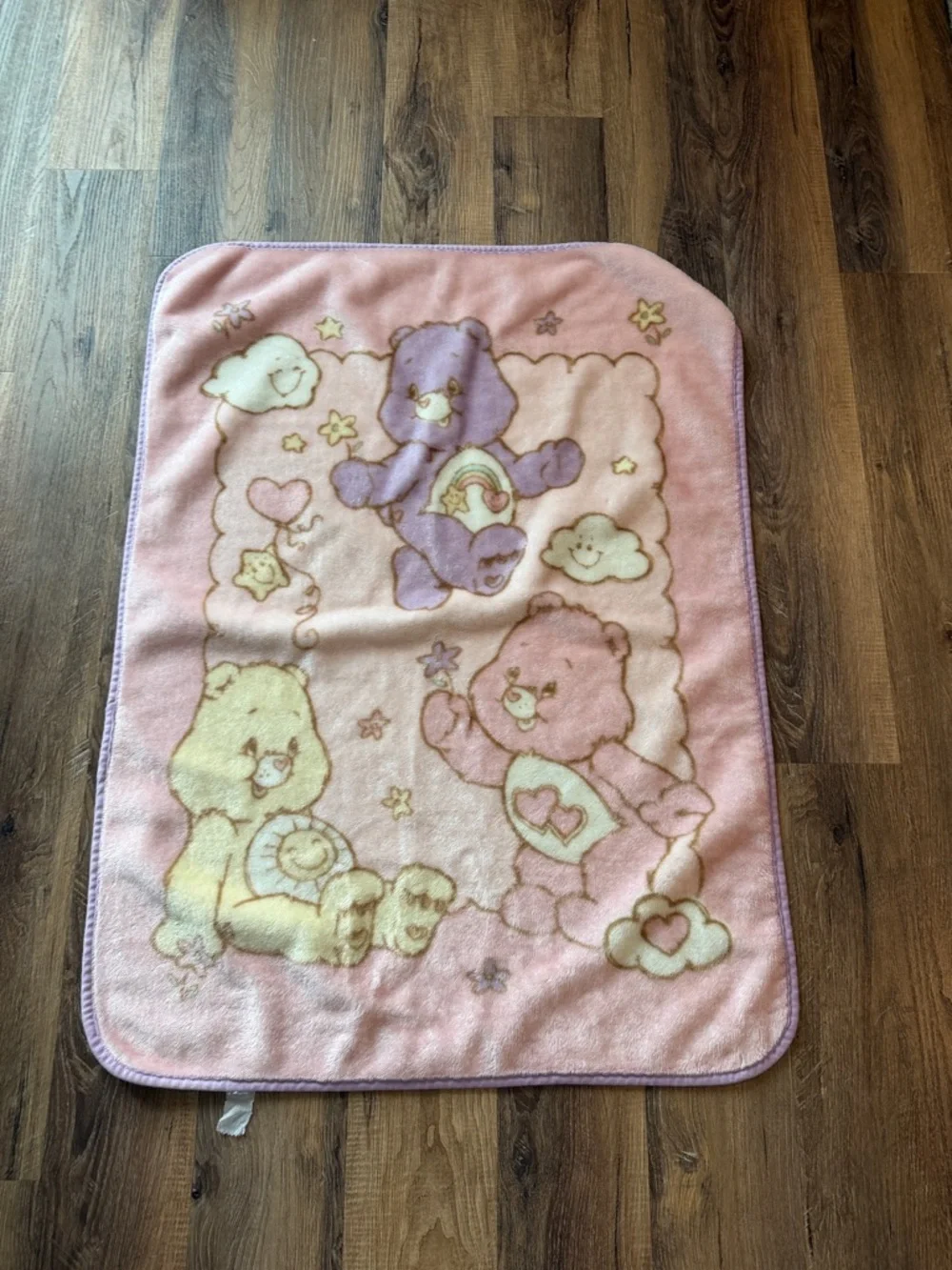 Care Bears Pastel Pink Plush Throw with Multicolor Bears pink